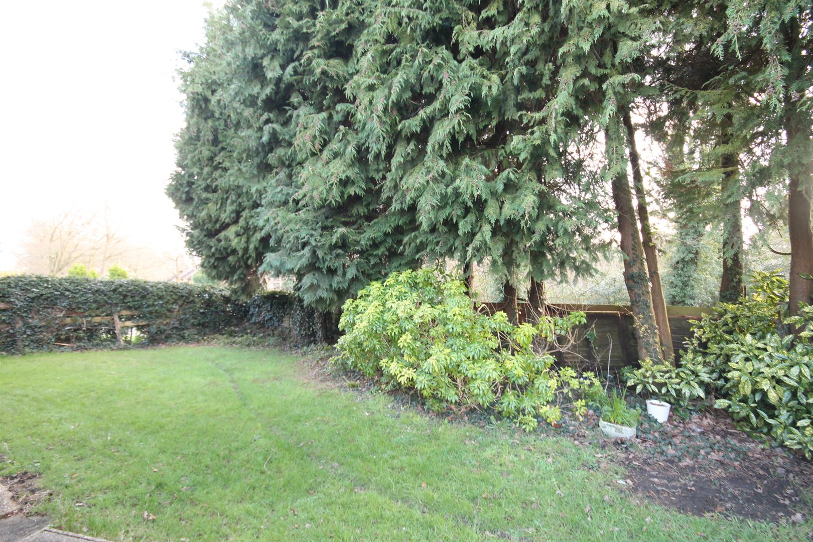 GOOD SIZE CORNER GARDEN